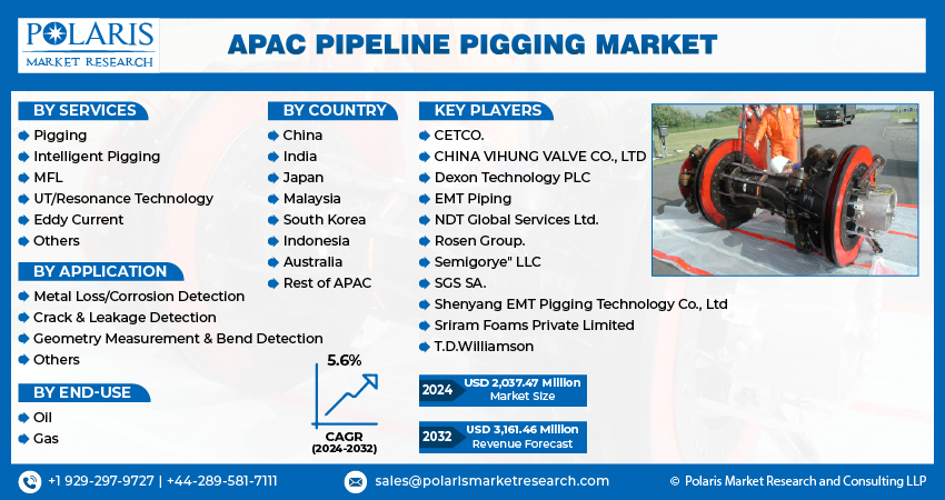 APAC Pipeline Pigging Market info